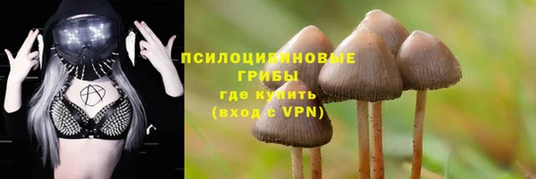 шишки Липки
