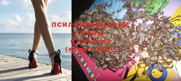 винт Абаза